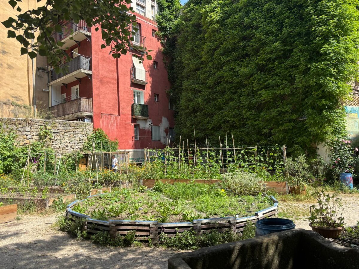 6 Espacios verdes recuperados para la ciudadanía en el centro de Pamplona