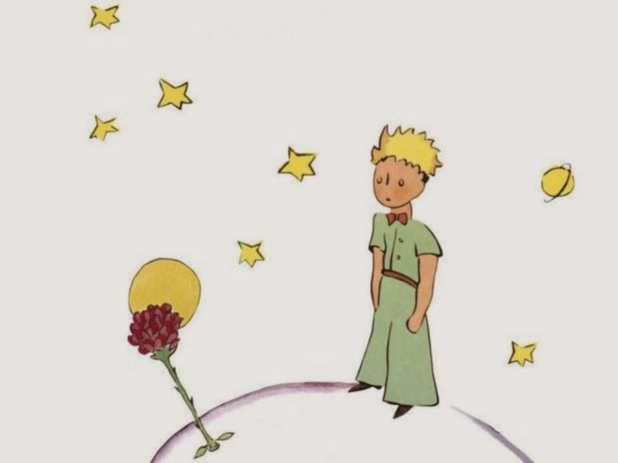 17. principito-rosa-saint-exupery-ilustracion