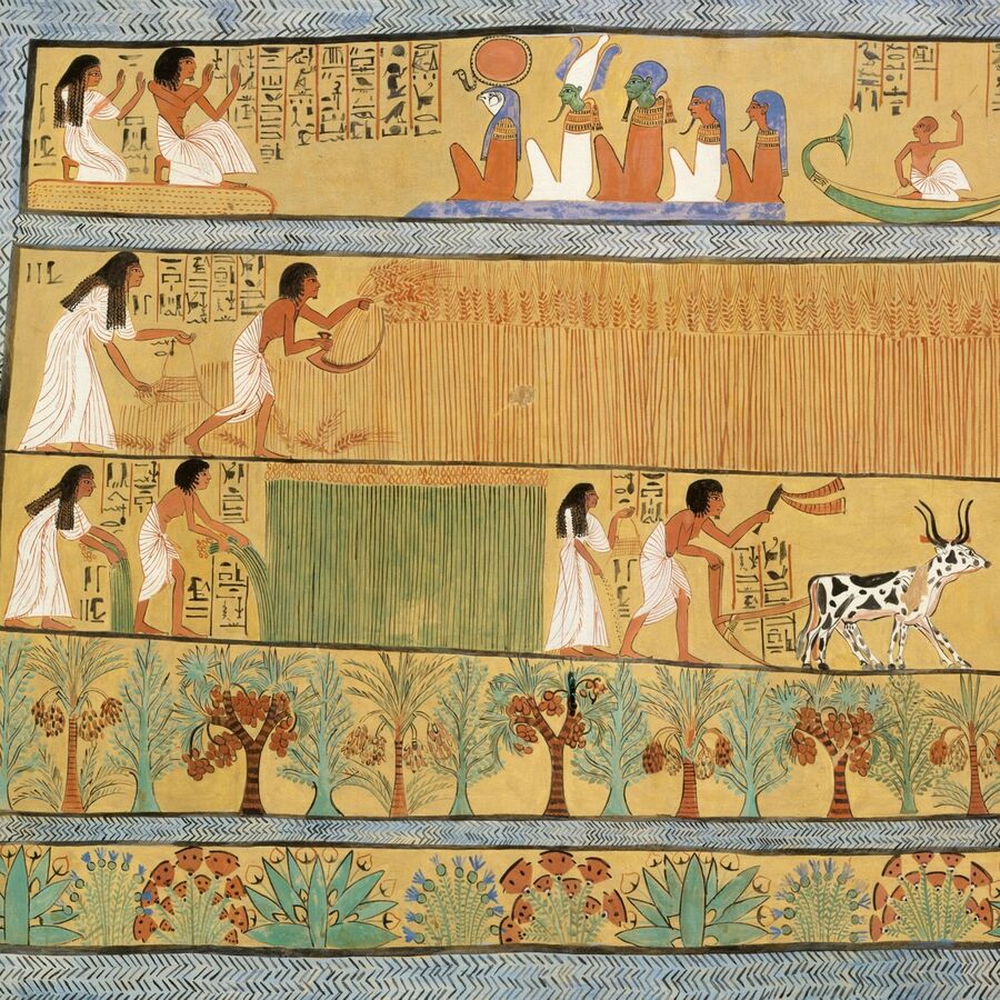 8. tumba-sennedjem-escena-cosecha-egipto-antiguo