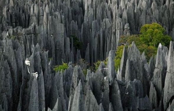 El_bosque_de_piedra_de_Madagascar_3