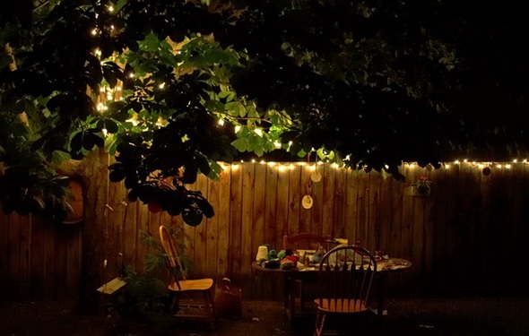 ilumina tu jardin cena