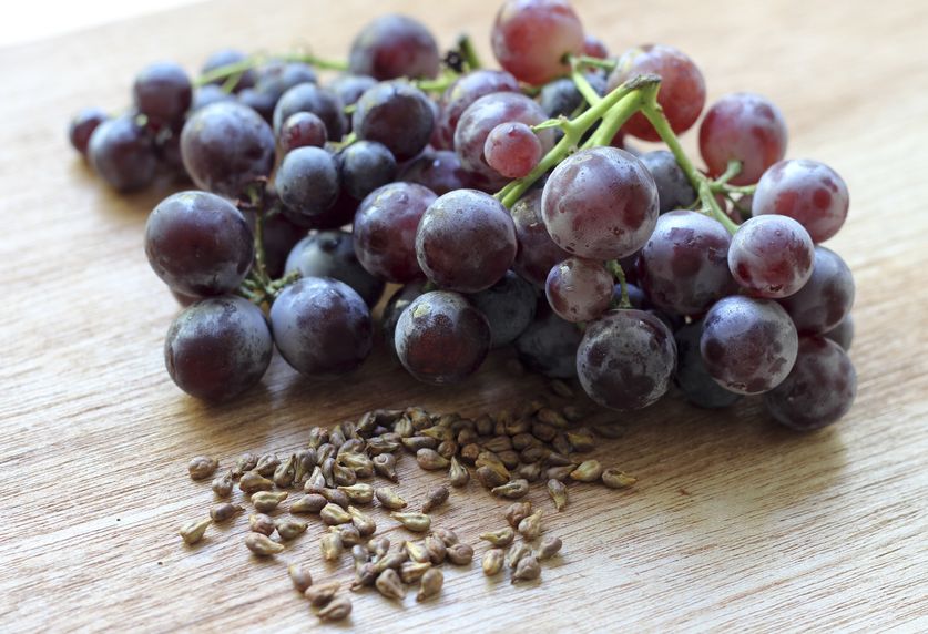 grape seed extract diabetes