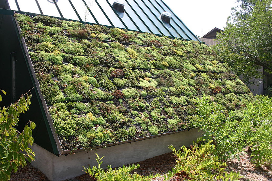 Awesome Green Roof