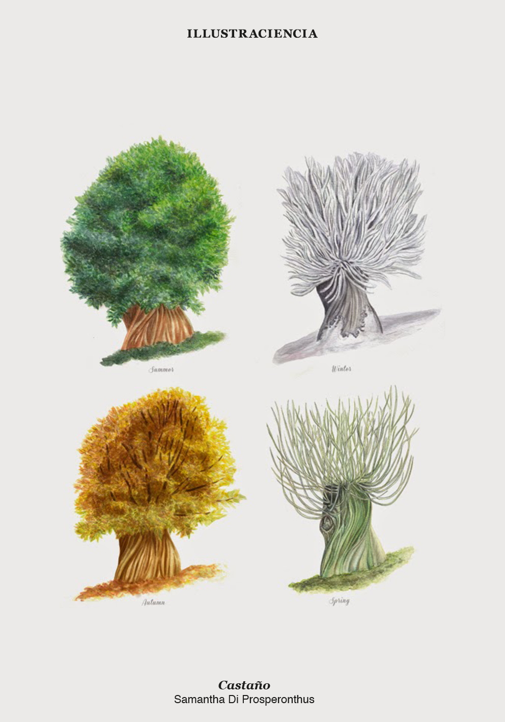 Cómo dibujar árboles con Illustraciencia | Espores