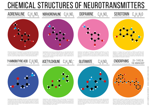 Chemical-structures-of-neurotransmitters