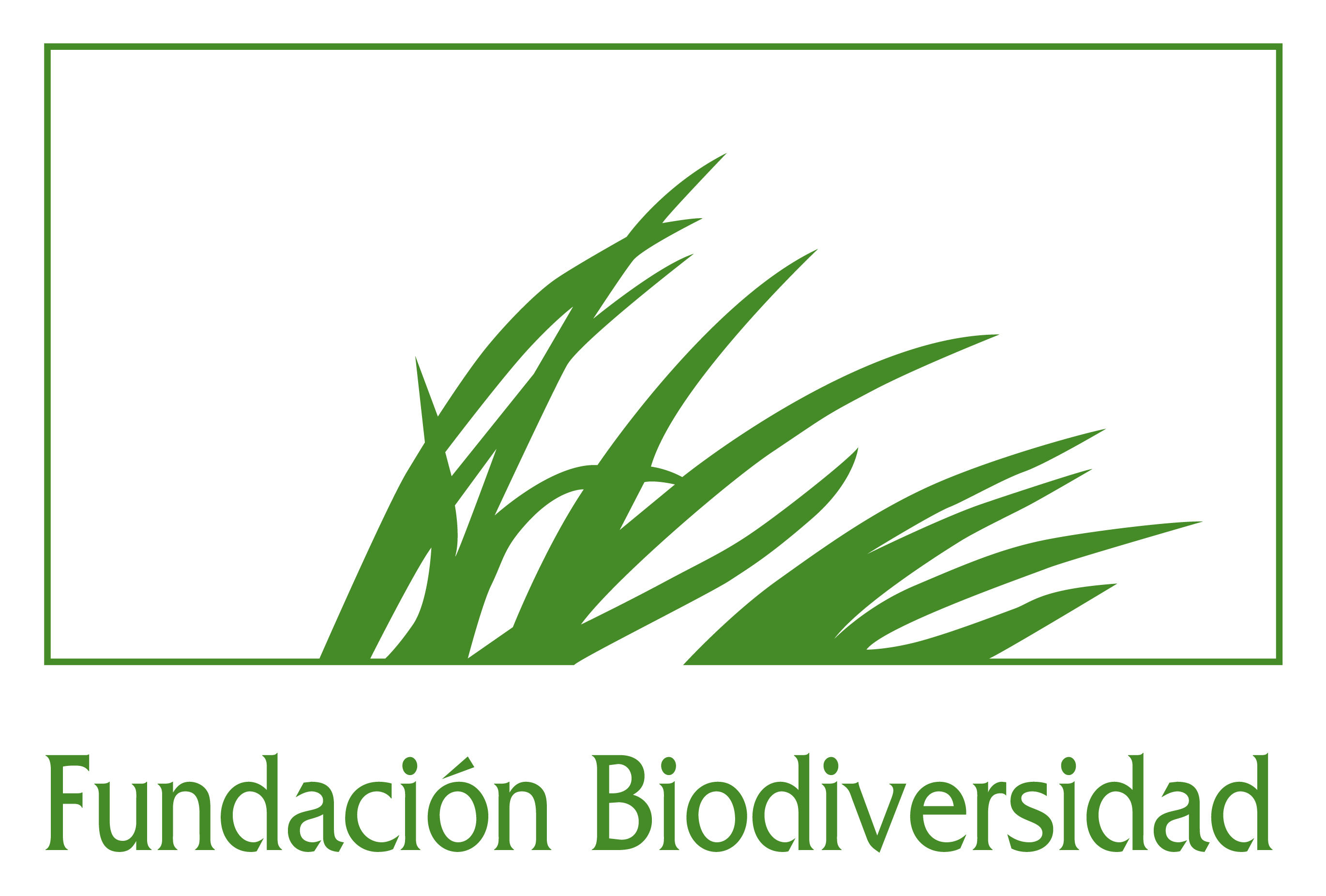 Logo Fundac BIODIVERSIDAD