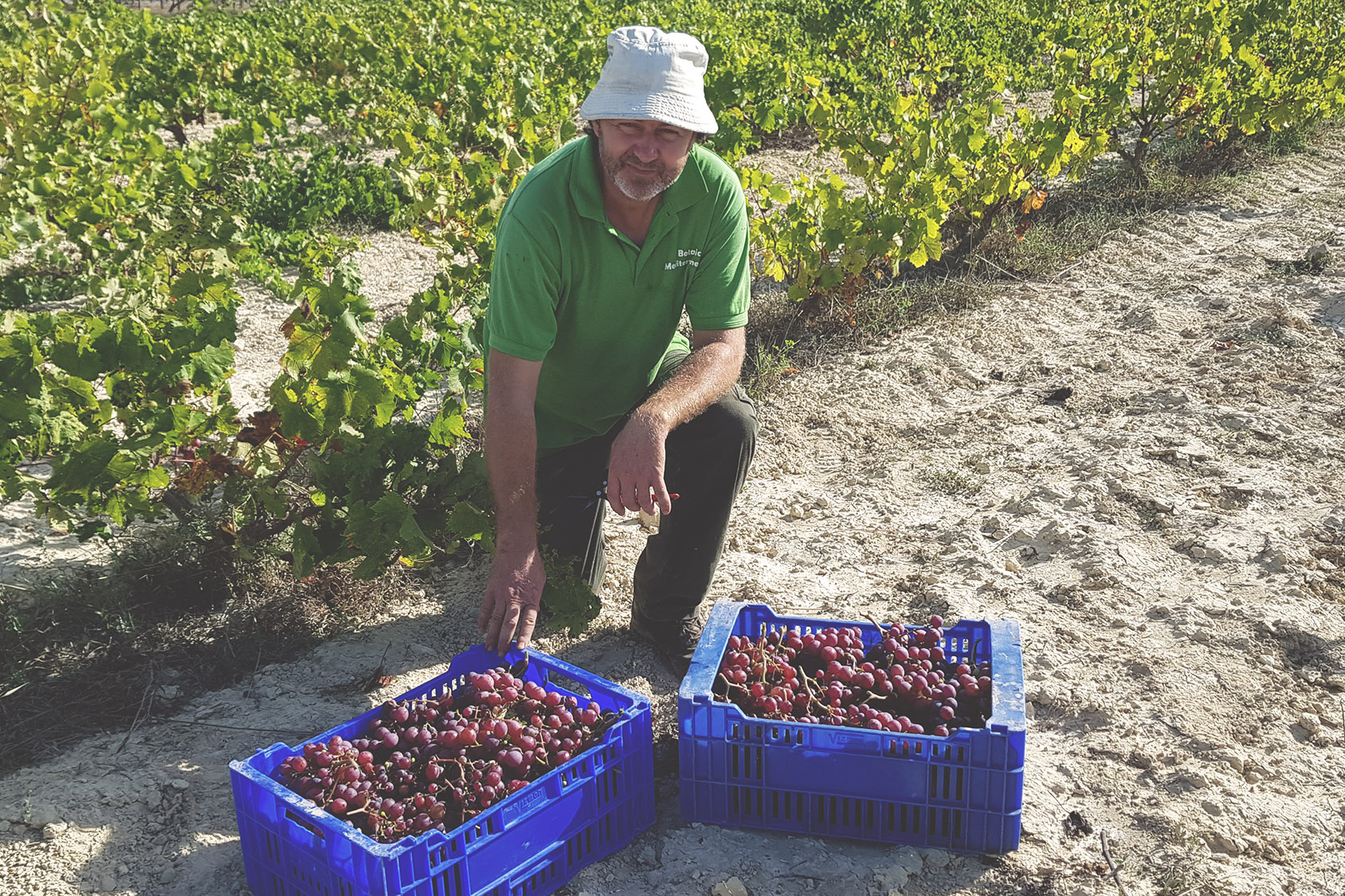 botanist-of-the-month-jaume-x-soler-espores