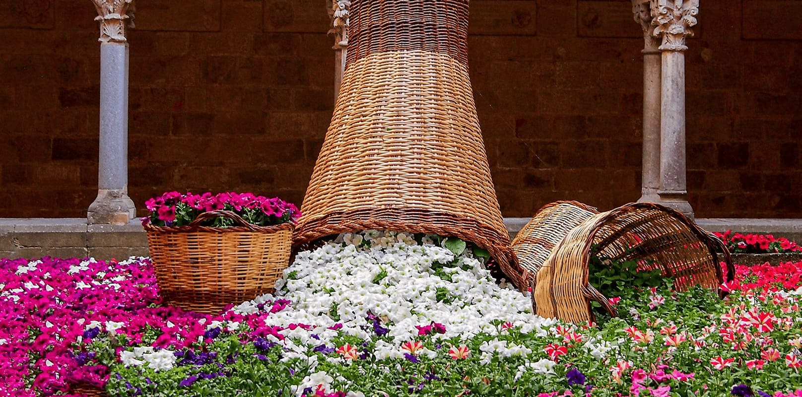 Temps de flors a Girona