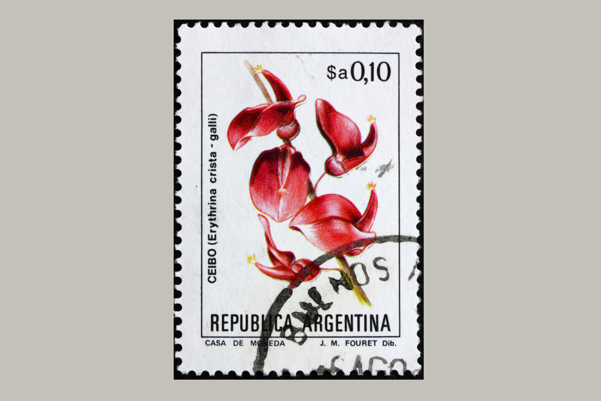 La flor nacional de Argentina | Espores