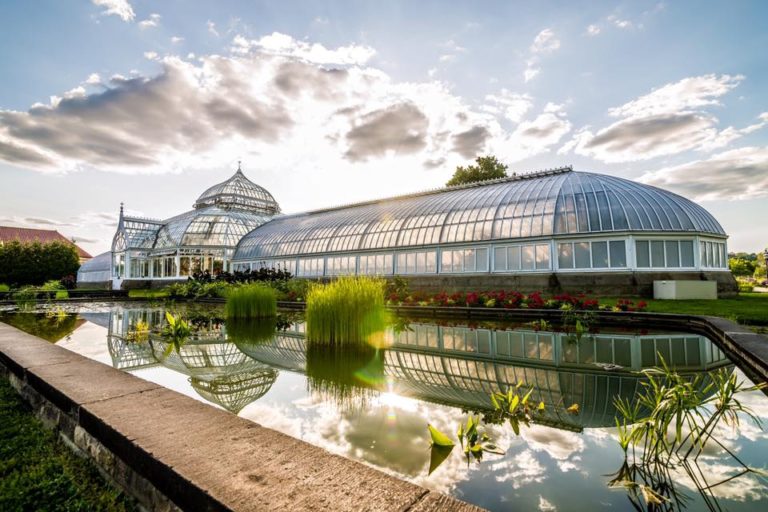 Phipps Conservatory Y Botanical Gardens | Espores